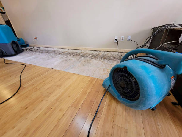 Reliable Structural Drying contractor in Stockton, NJ by San Diego Water Damage Company